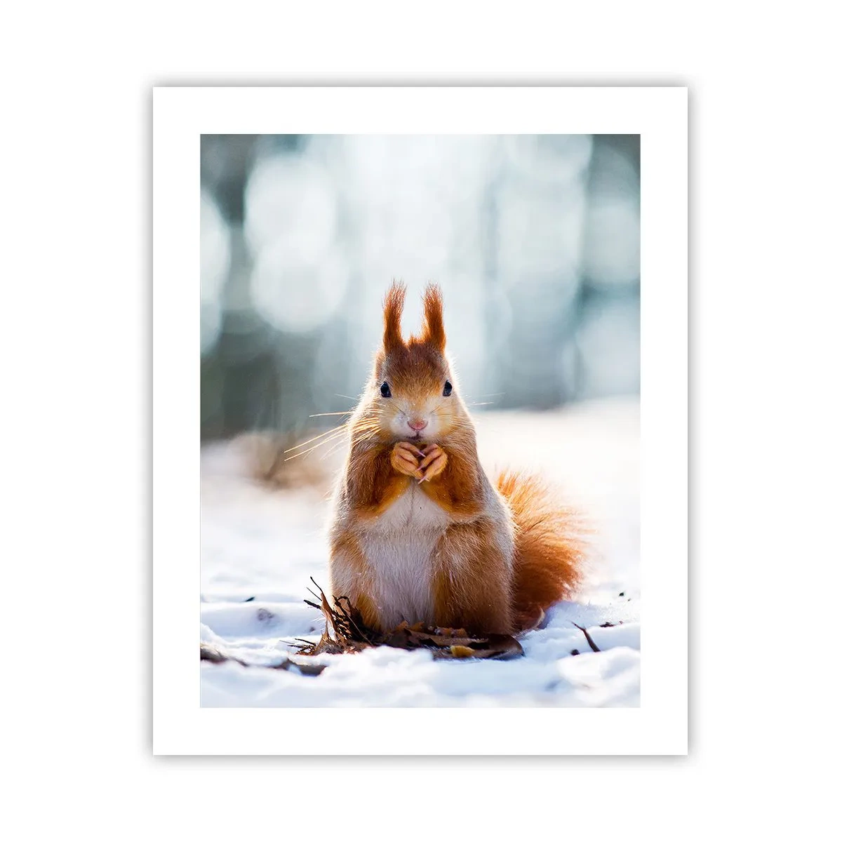 Poszter - Mit nézel? - 40x50 cm