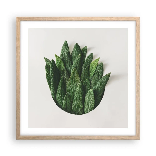 Poszter világos tölgy keretben - Féktelen kíváncsiság - 50x50 cm