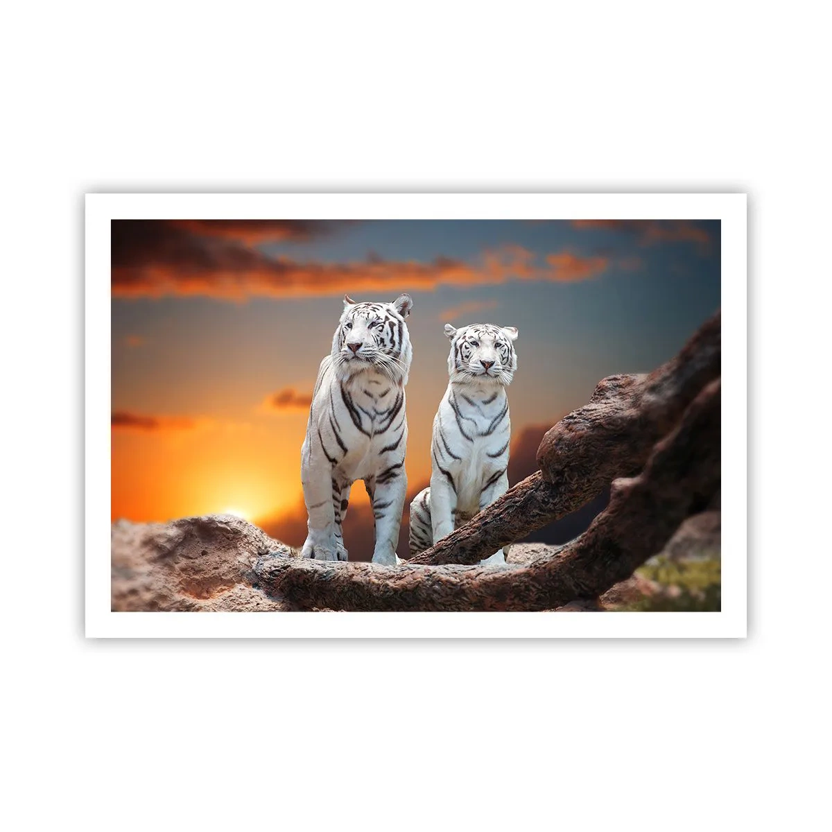 Poszter - Akárcsak Narnia - 91x61 cm