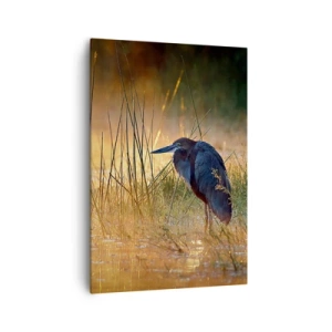 Vászonkép - Hagyjatok békén ezekkel a fotókkal - 70x100 cm