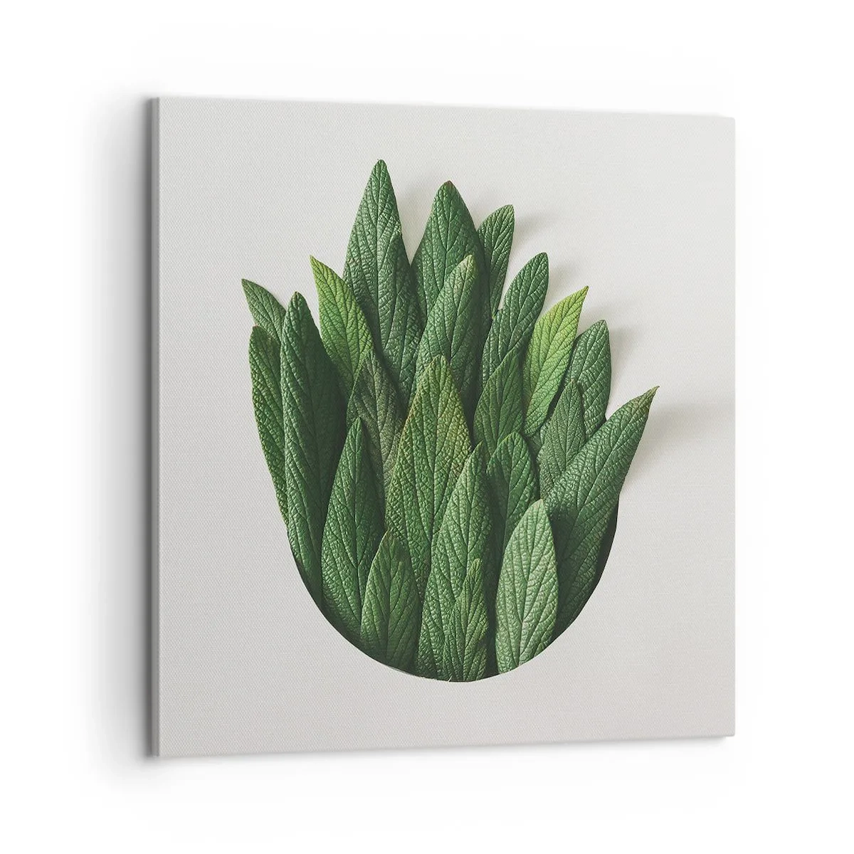 Vászonkép - Féktelen kíváncsiság - 60x60 cm