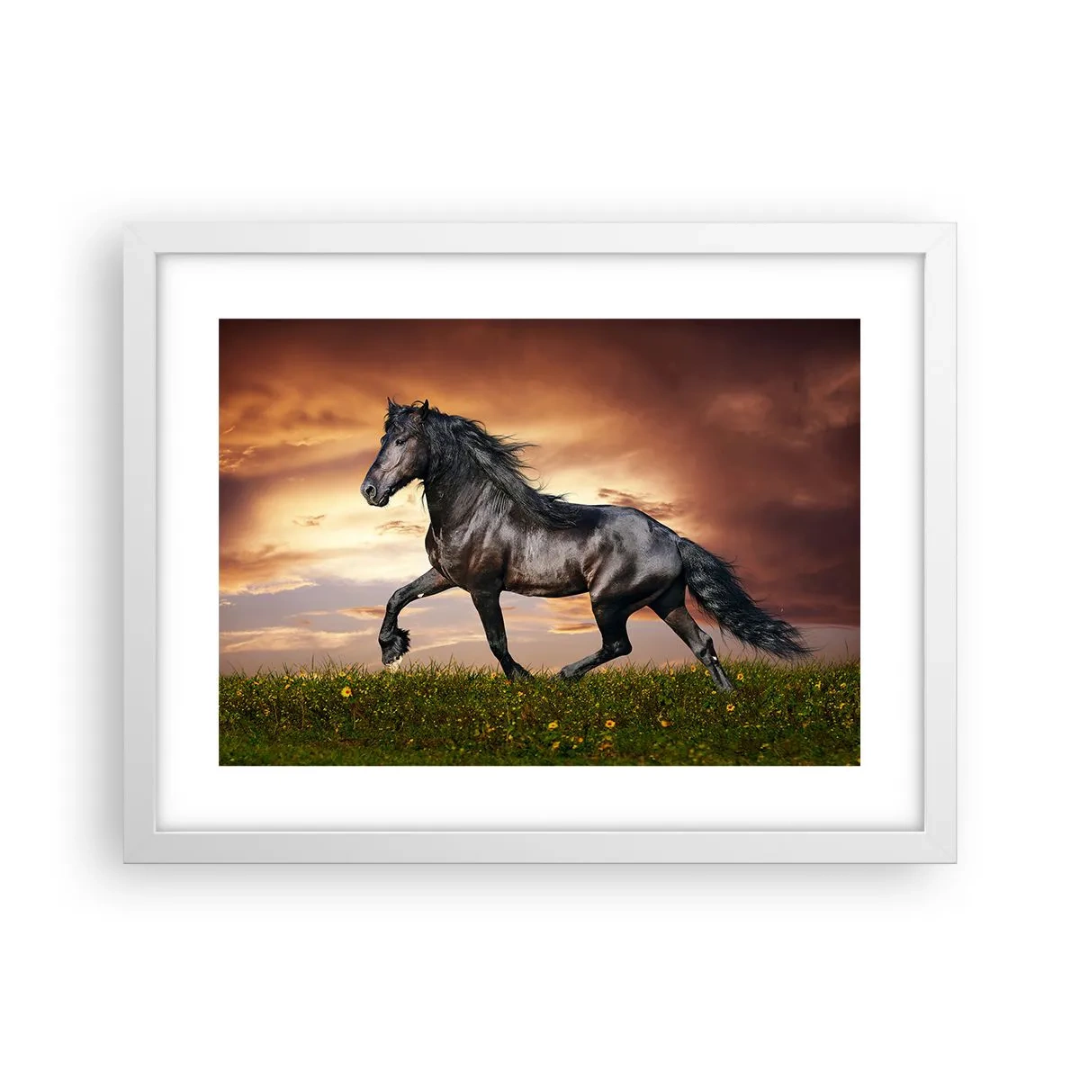 Poszter fekete keretben - Fekete herceg - 40x30 cm