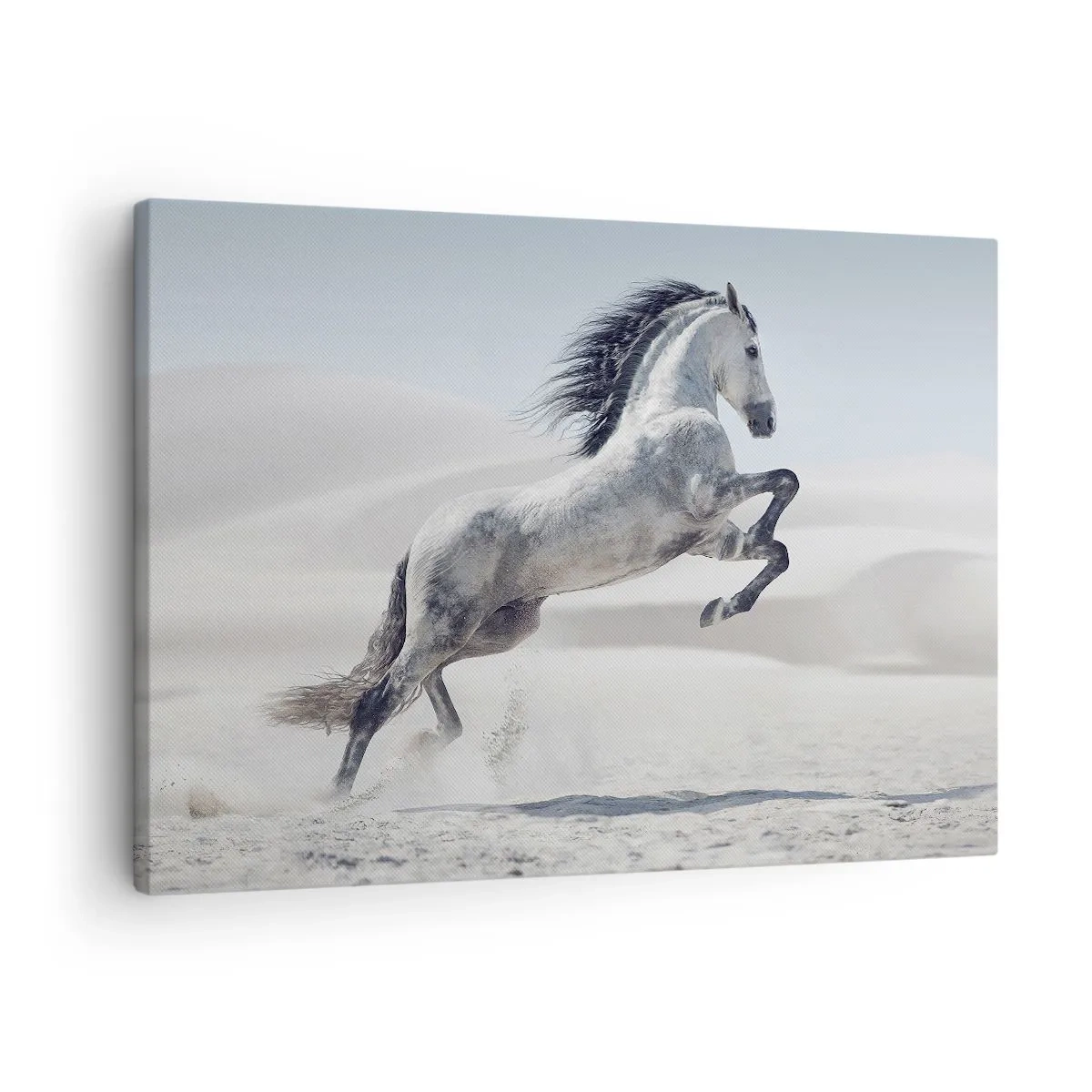 Vászonkép - Egy fehér ló vágtat a sivatagi dűnék hátterében - 70x50cm - arab herceg - Modern fali dekoráció nappalihoz és hálószobához ARTTOR