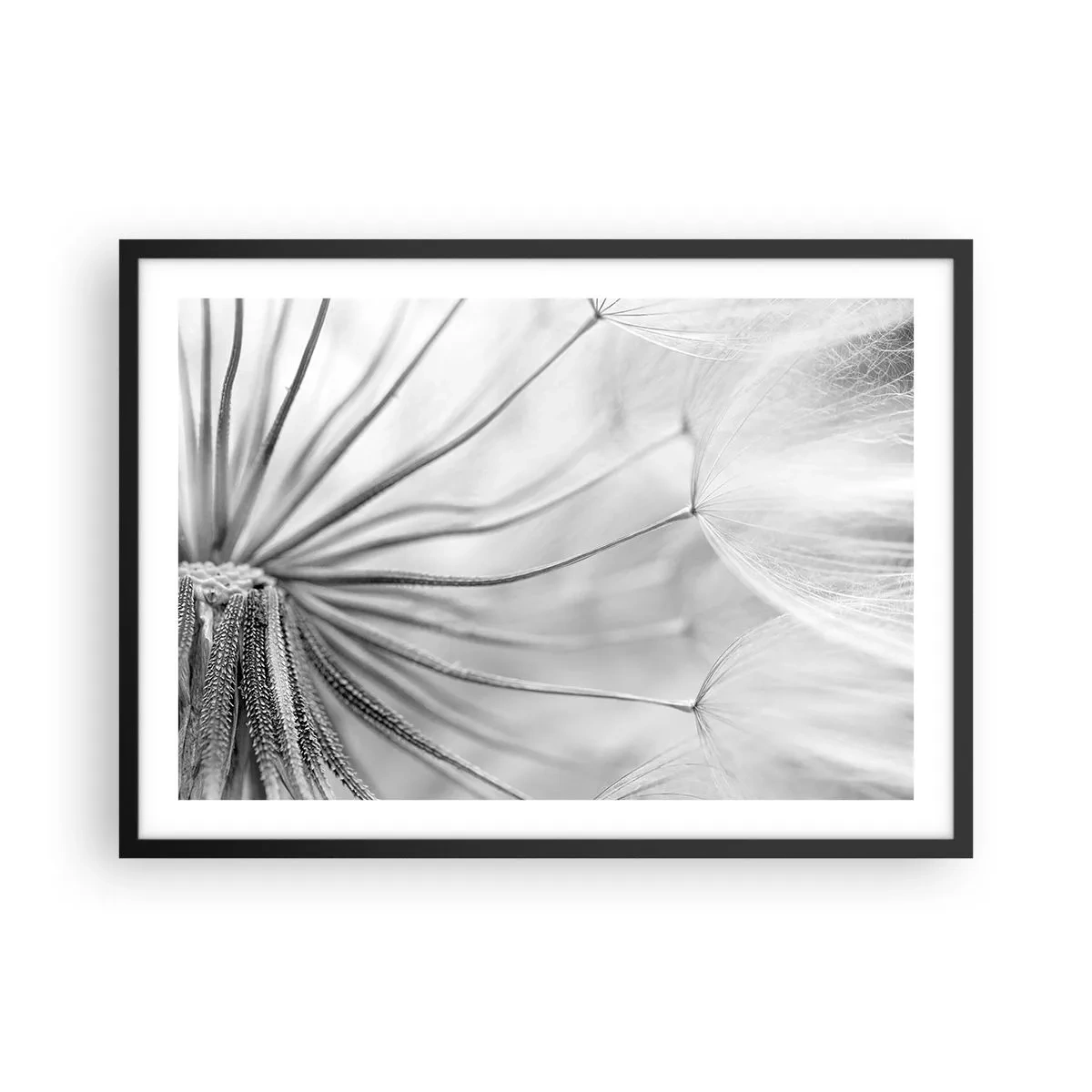 Poszter fehér keretben - Pitypang, papírsárkány - 70x50 cm