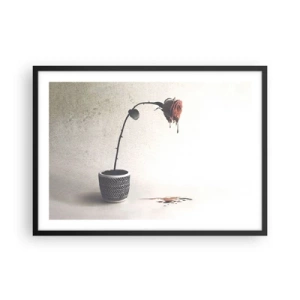 Poszter fehér keretben - Rosa dolorosa - 70x50 cm