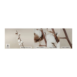Fotótapéta Minta Premium Sand - A puhaság forrásánál - Pamut Virág, Természet, Pamut - 100x30 cm