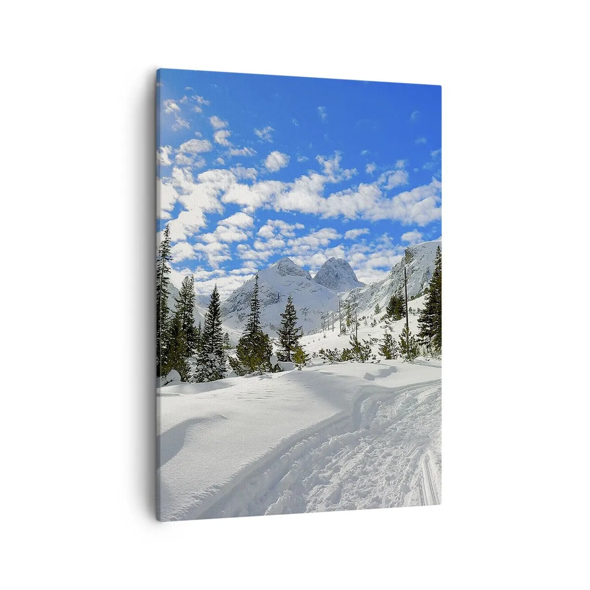 Vászonkép - A hóban és a napon - 50x70 cm