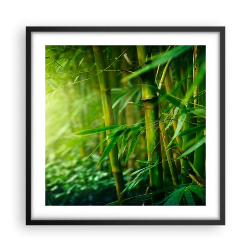 Poszter fehér keretben - Megismerni magát a zöldet - 50x50 cm