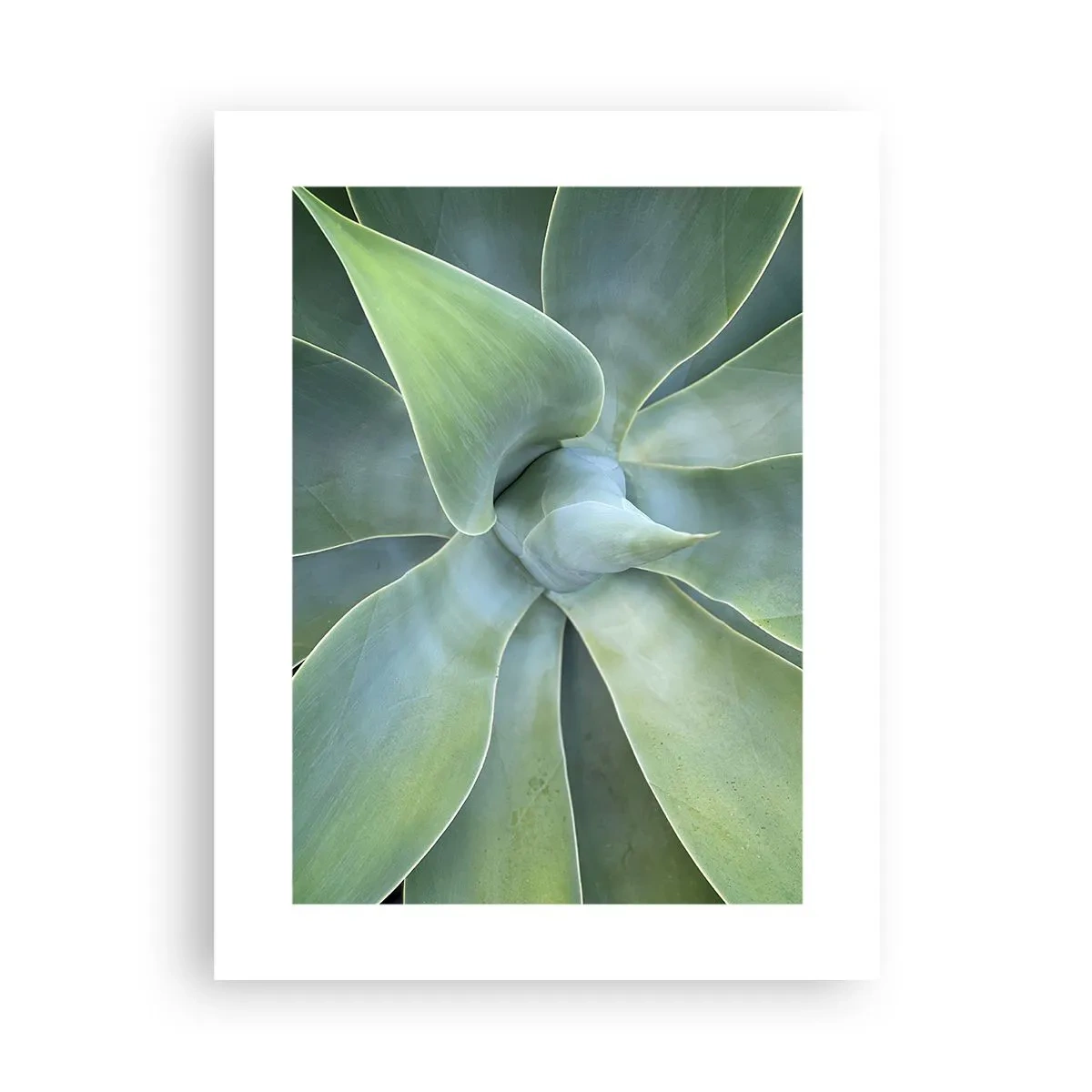 Poszter - A zöld születése - 30x40 cm