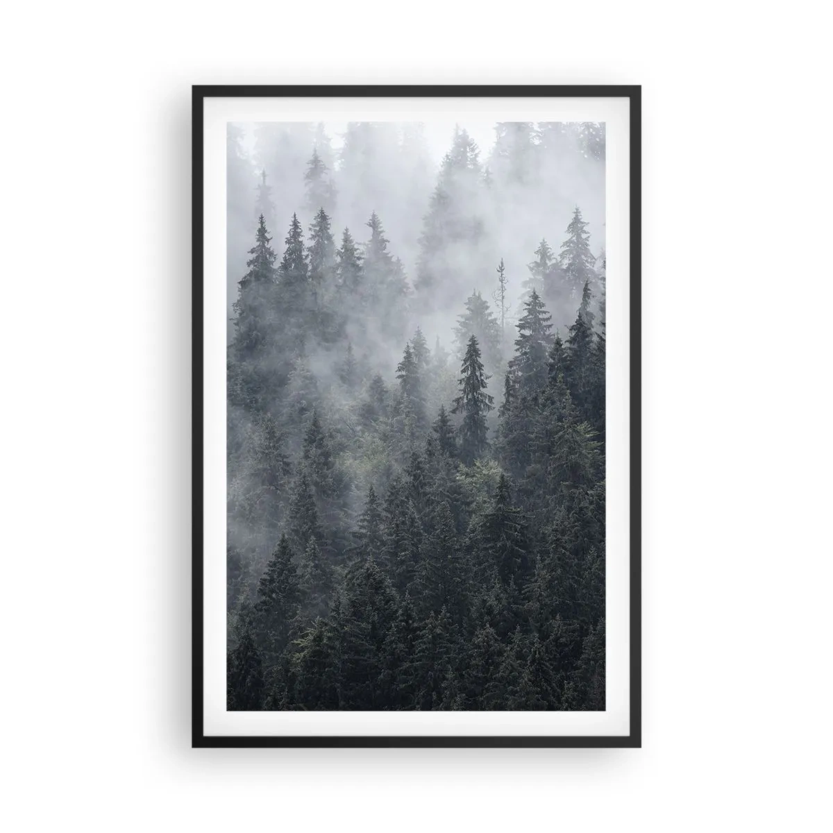 Poszter fehér keretben - Erdei hajnal - 61x91 cm