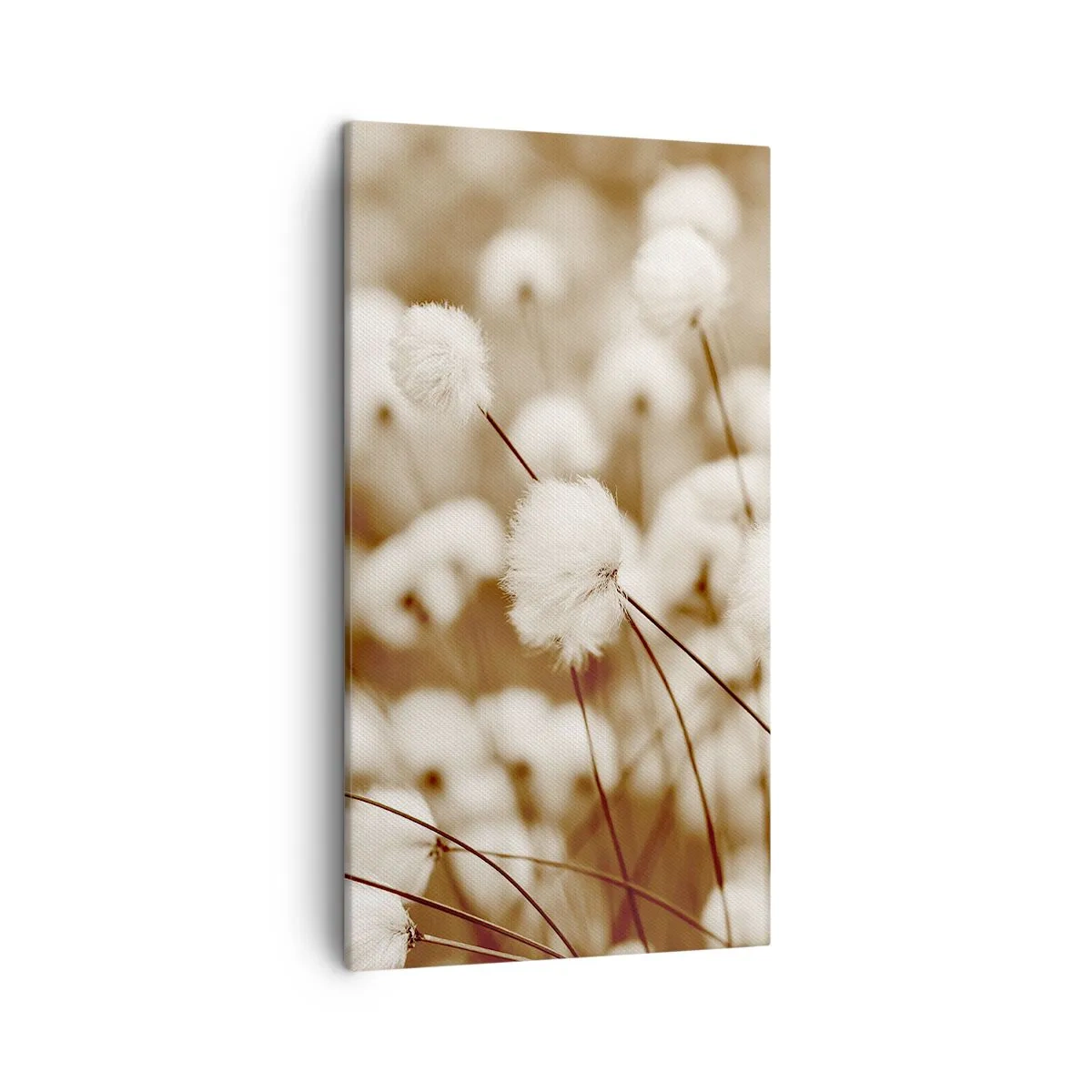 Vászonkép - Bolyhos termés - 45x80 cm