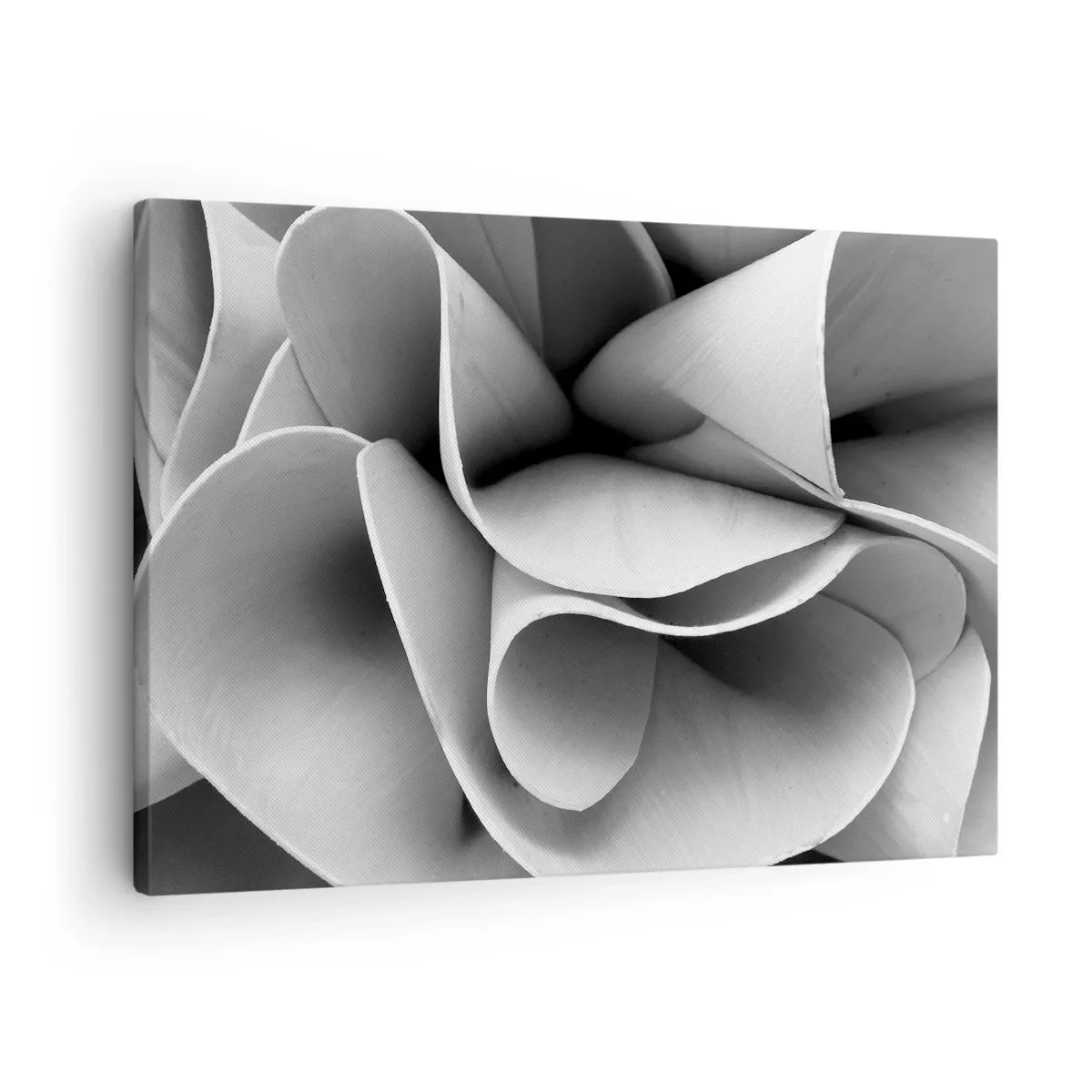 Vászonkép - Fekete-fehér absztrakt formák részletei - 70x50cm - Az űrben történik - Modern fali dekoráció nappalihoz és hálószobához ARTTOR