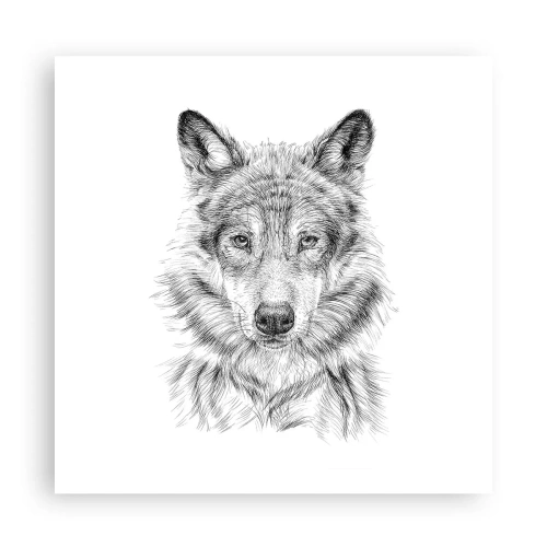Poszter - Született vezető - 60x60 cm