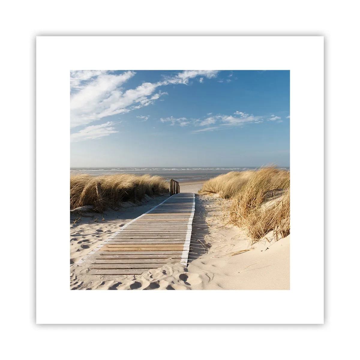 Poszter - A dűne mögött, a fű susogásában - 30x30 cm