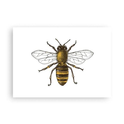 Poszter - Gyönyörű és jó - 70x50 cm