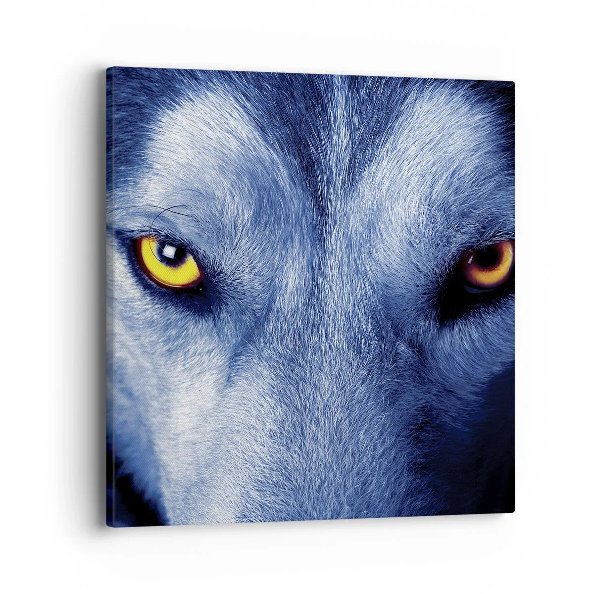 Vászonkép - Hipnotizáló nézés - 40x40 cm