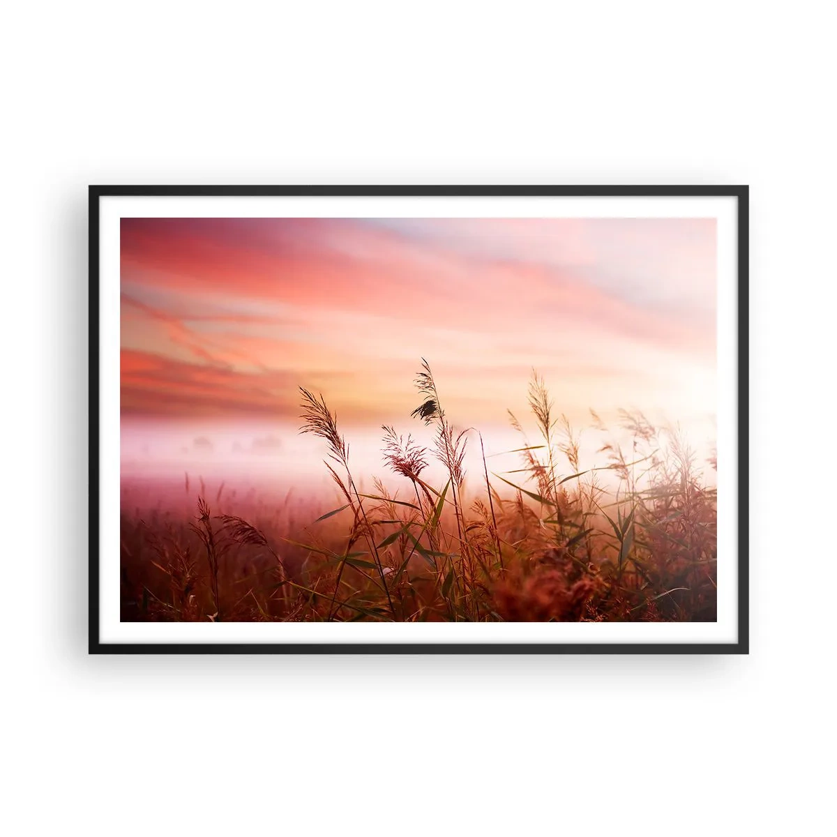 Poszter fehér keretben - Sárkányok, pitypangok, szél - 100x70 cm