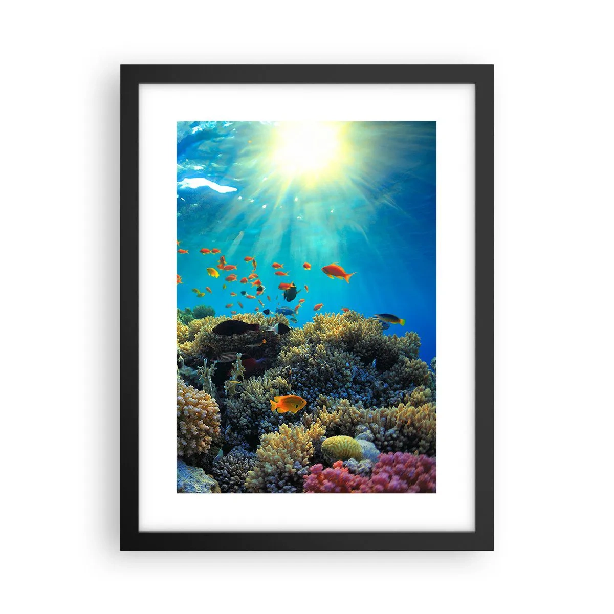 Poszter fehér keretben - Víz alatti kincsek - 30x40 cm