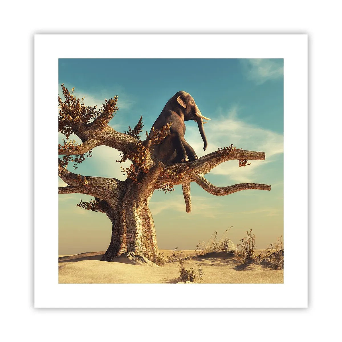 Poszter - Egy új nézőpont - 40x40 cm