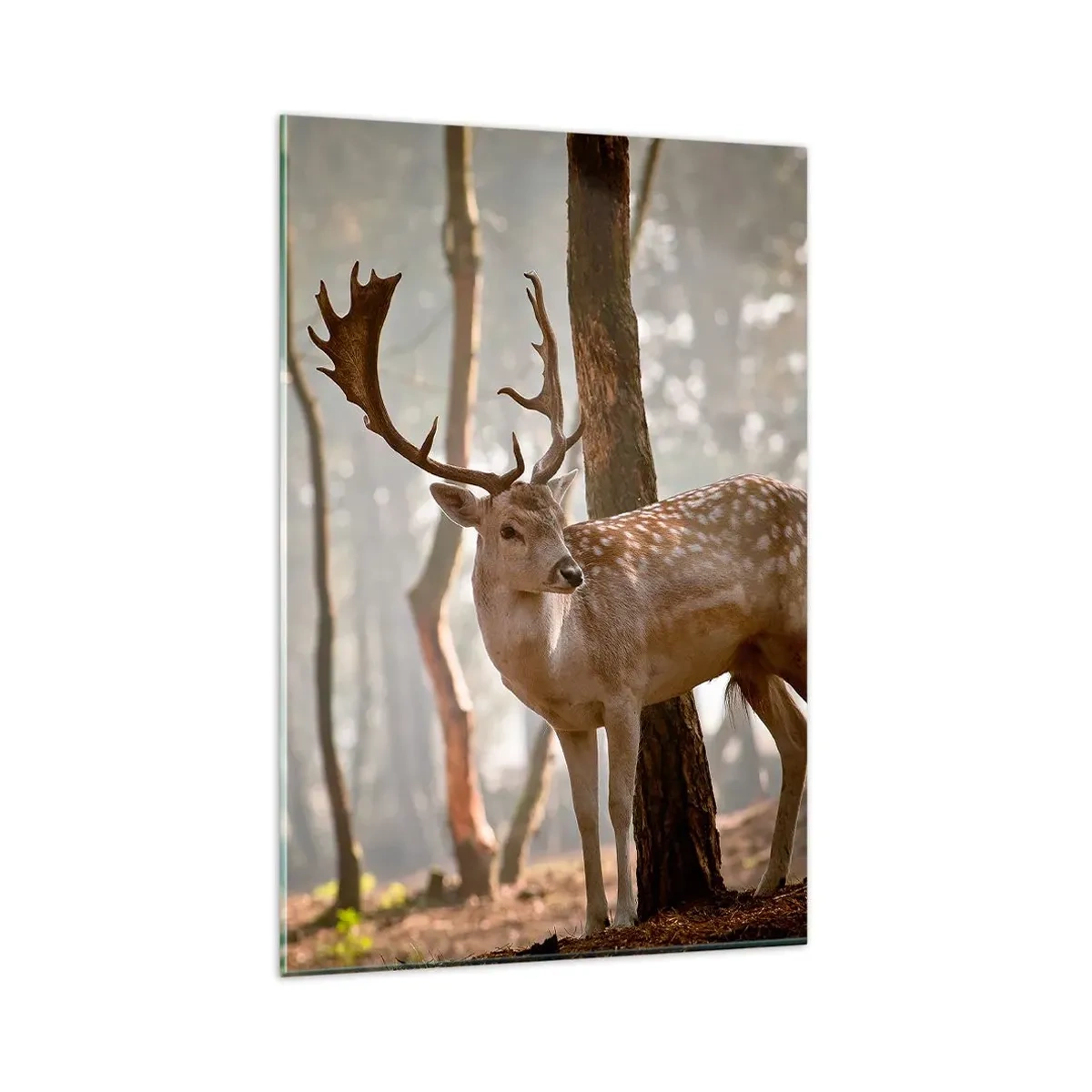 Üveg kép - A fiatalság fénye - 80x120 cm