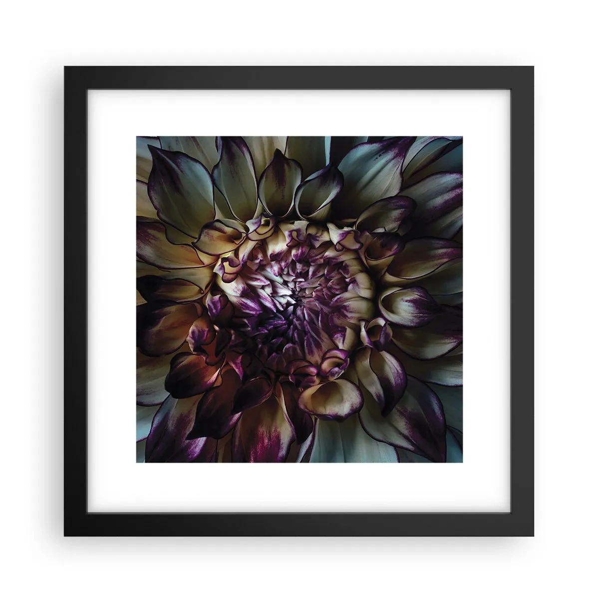 Poszter fehér keretben - A fiatalság kivirágzása - 30x30 cm