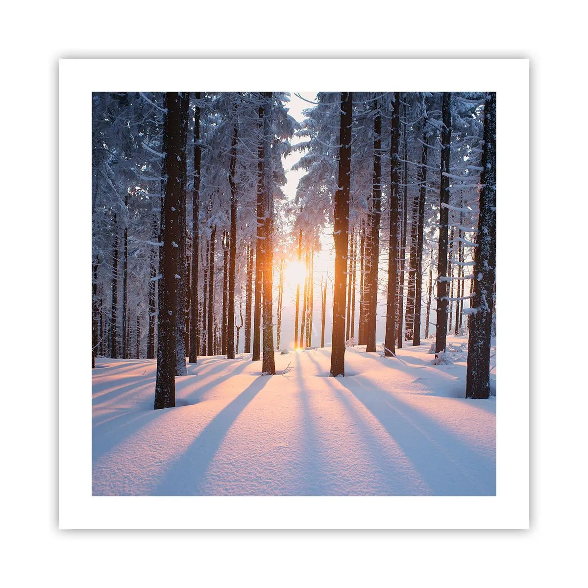 Poszter - Egyértelműen fekete-fehéren - 50x50 cm