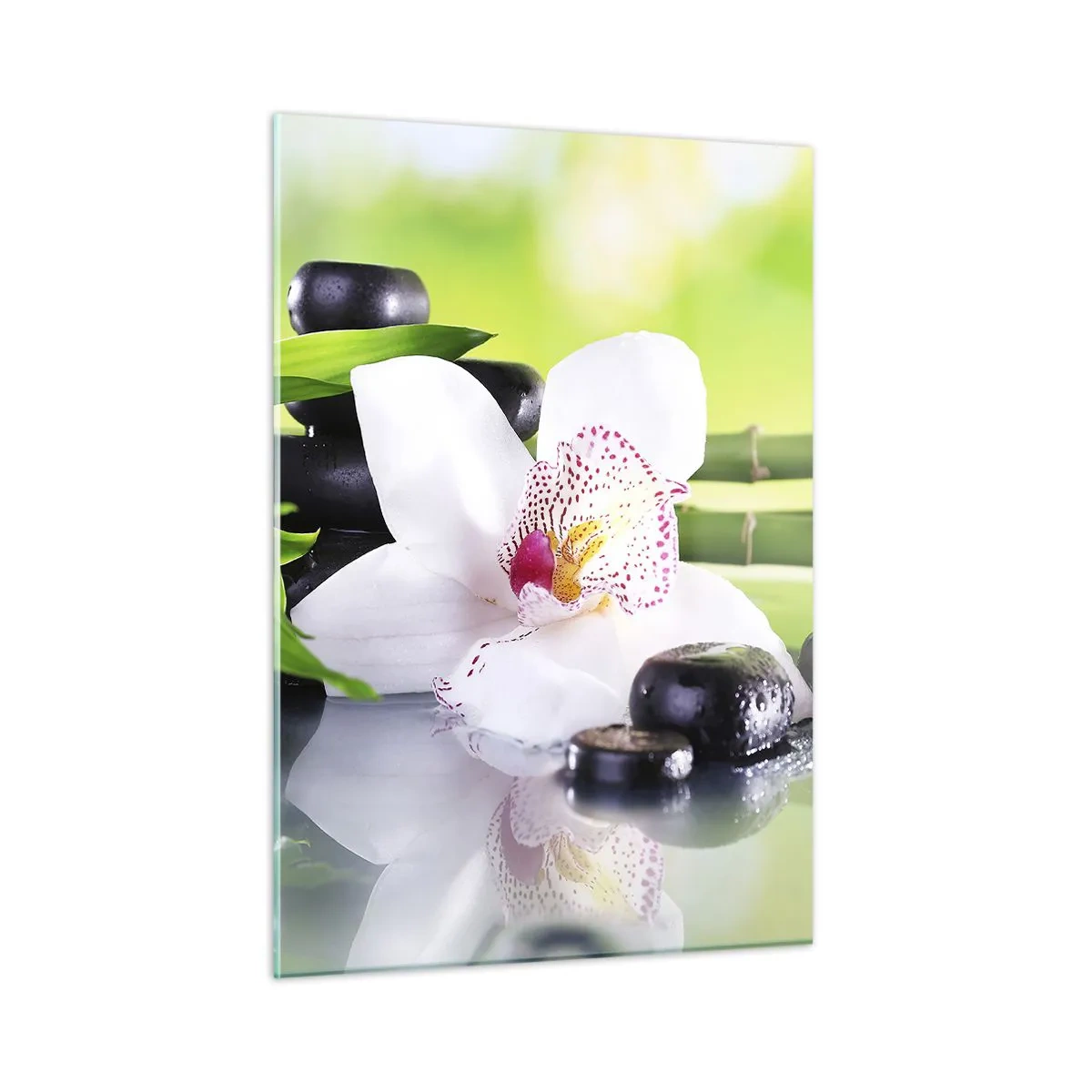 Üveg kép - Hűvös frissesség - 50x70 cm