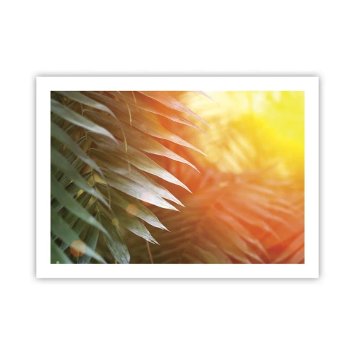 Poszter - Reggel a dzsungelben - 70x50 cm