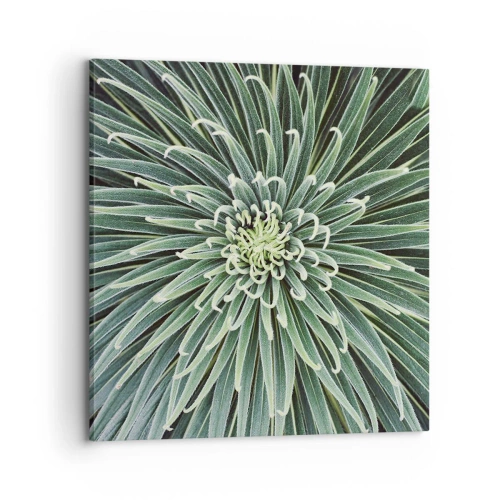 Vászonkép - Csillag születik - 70x70 cm