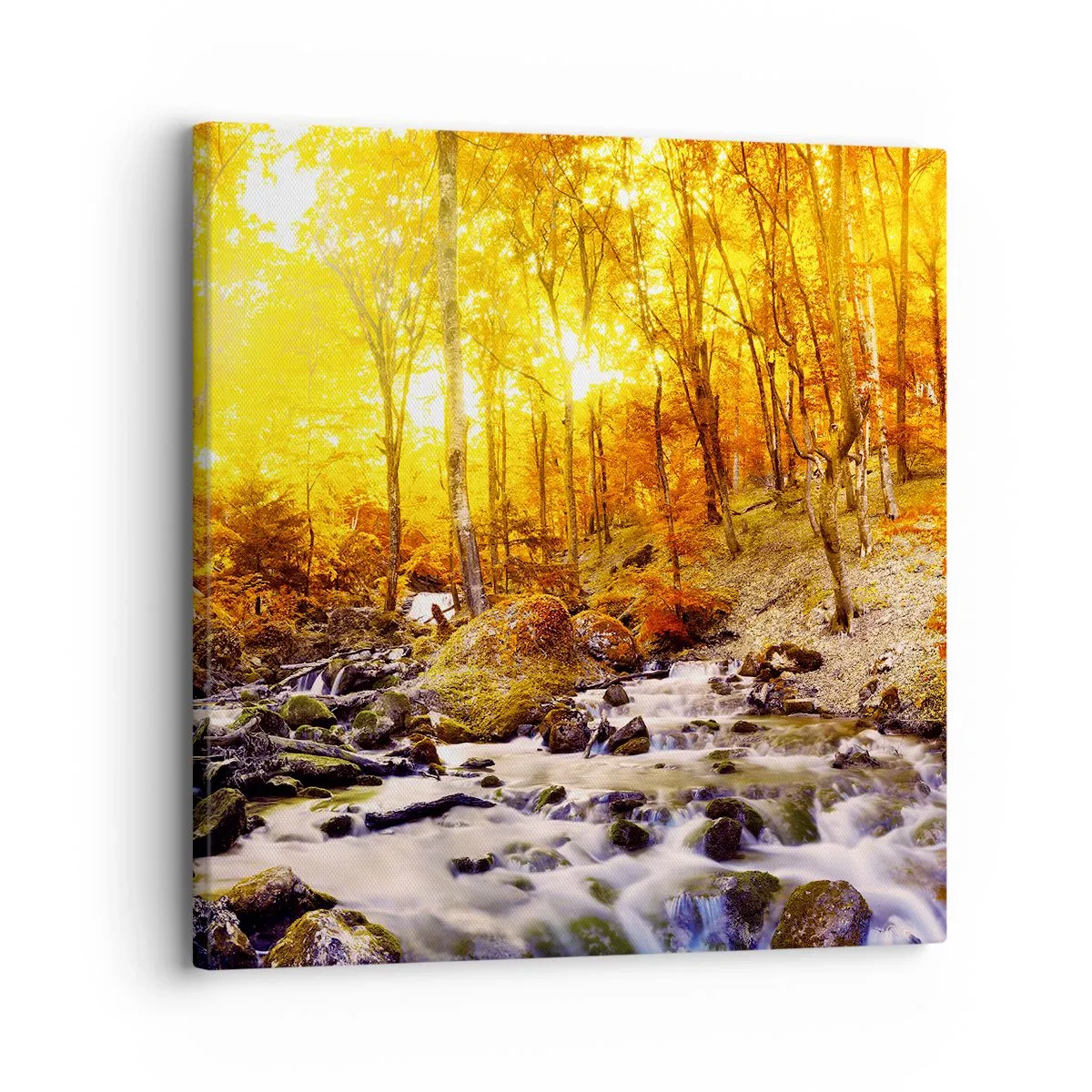 Vászonkép - Kövek aranyba és platinába - 30x30 cm