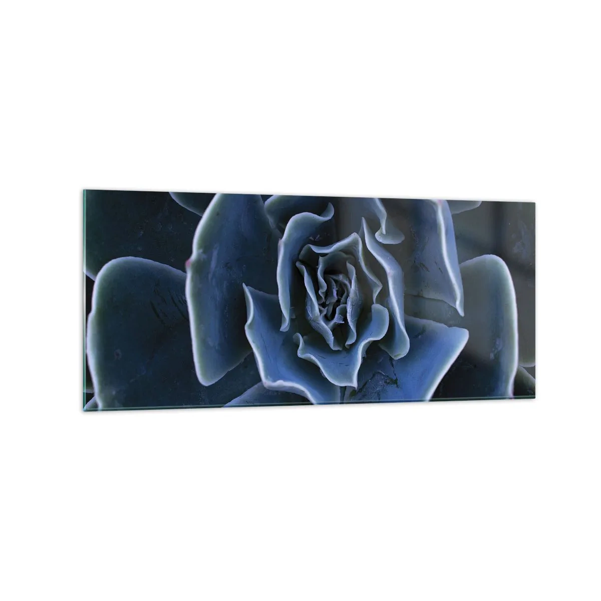Üveg kép - A sivatag virága - 120x50 cm