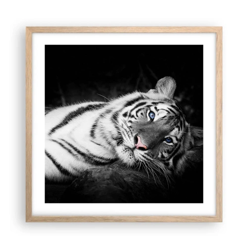 Poszter világos tölgy keretben - Vadság és nyugalom - 50x50 cm