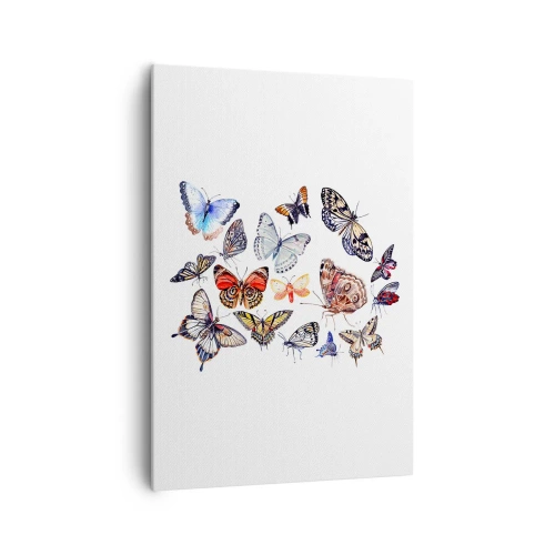 Vászonkép - Csipkés, színes raj - 70x100 cm