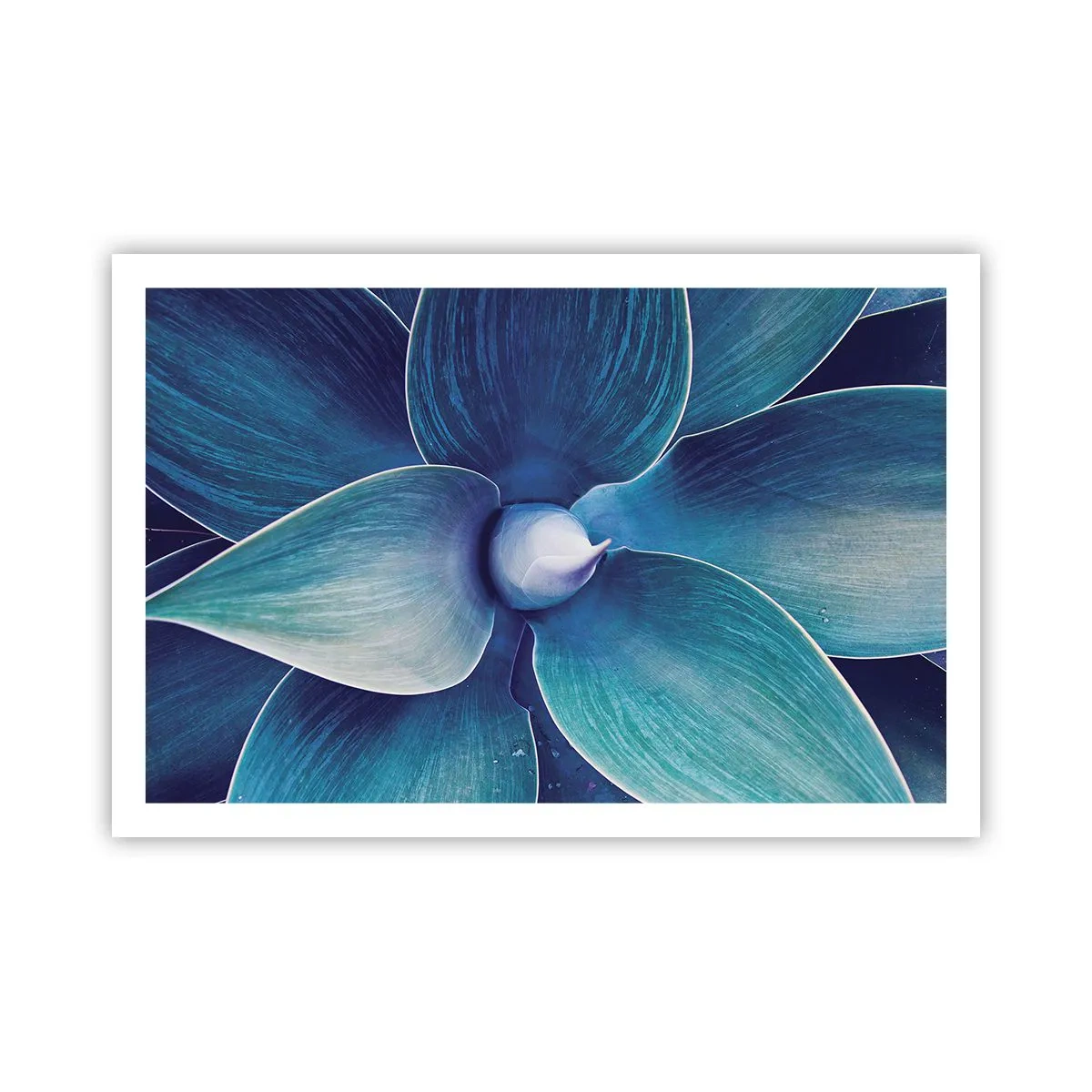 Poszter - Kékezve az égből - 91x61 cm