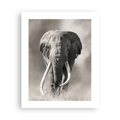 Poszter - Afrikai patriarcha - 40x50 cm