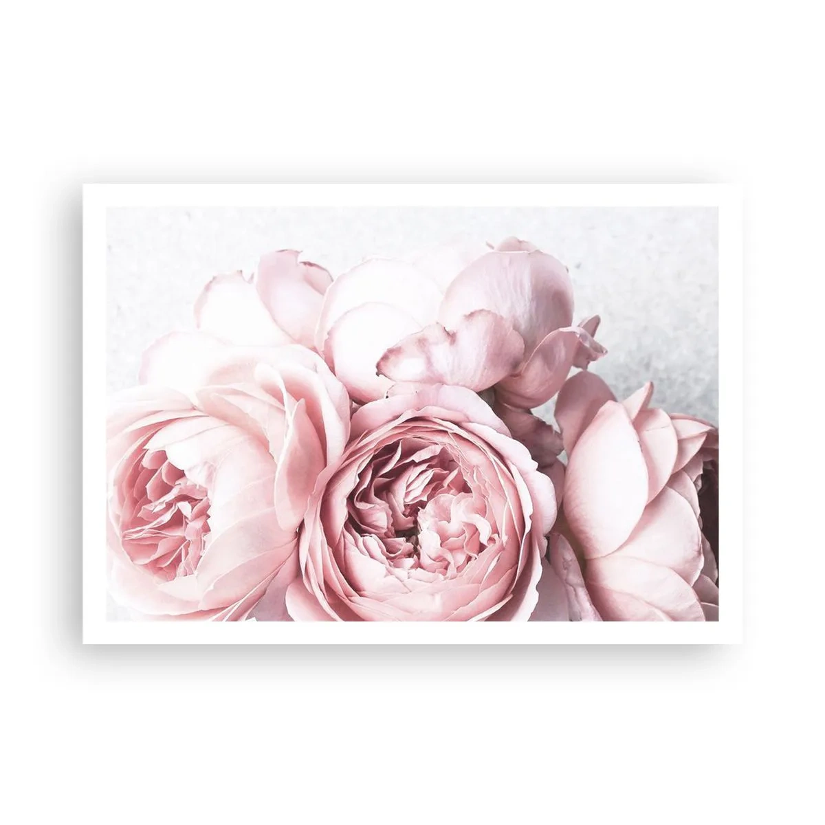 Poszter - A romantikusoknak - 100x70 cm