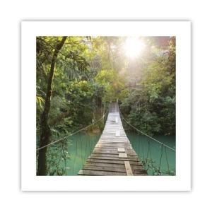 Poszter - Az azúrkék vízen át az azúrkék erdőbe - 40x40 cm