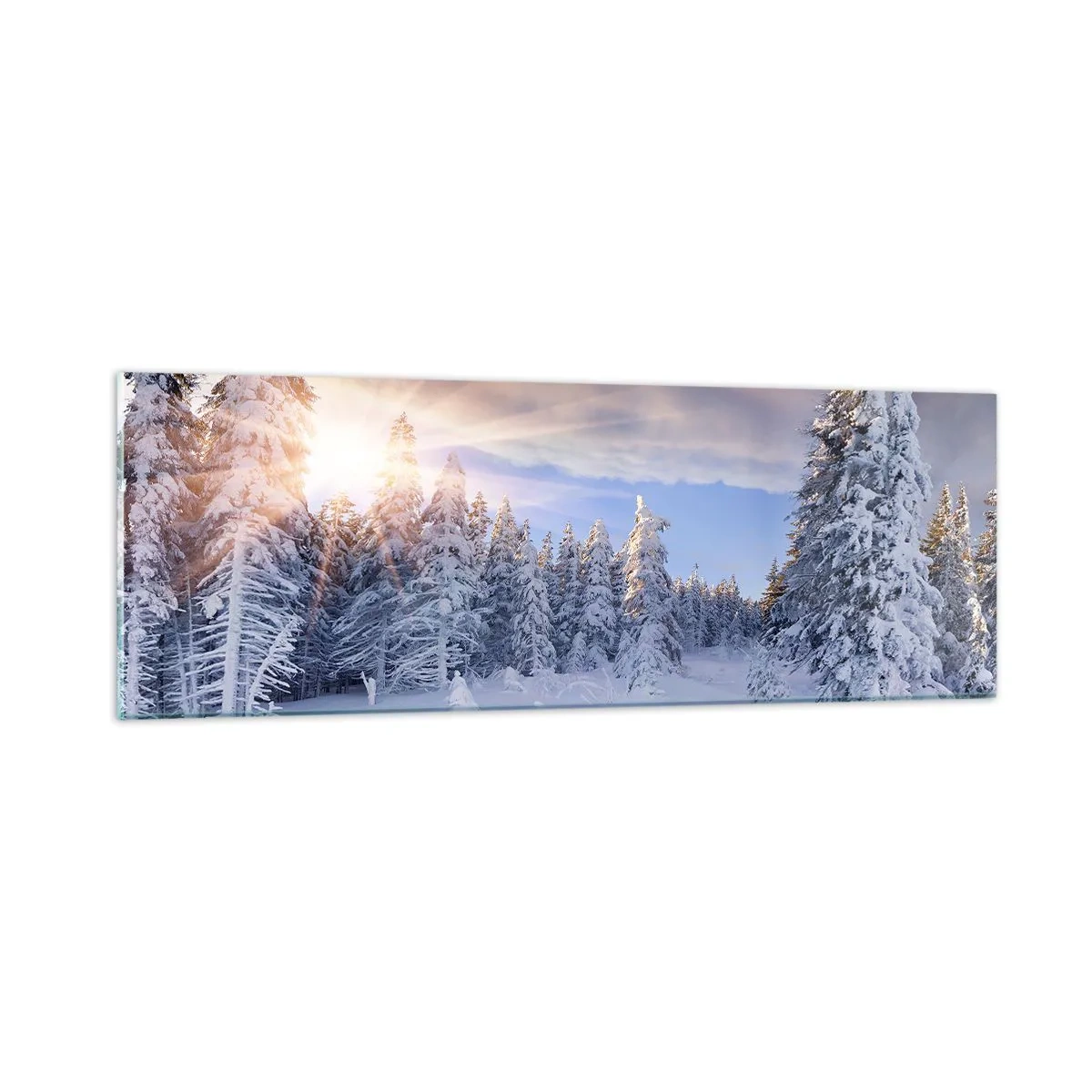 Üveg kép - A természet havas látványa - 90x30 cm