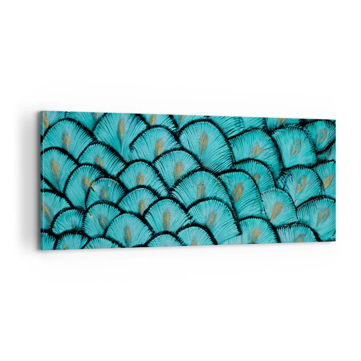 Vászonkép - A tollak nagy gálája - 100x40 cm
