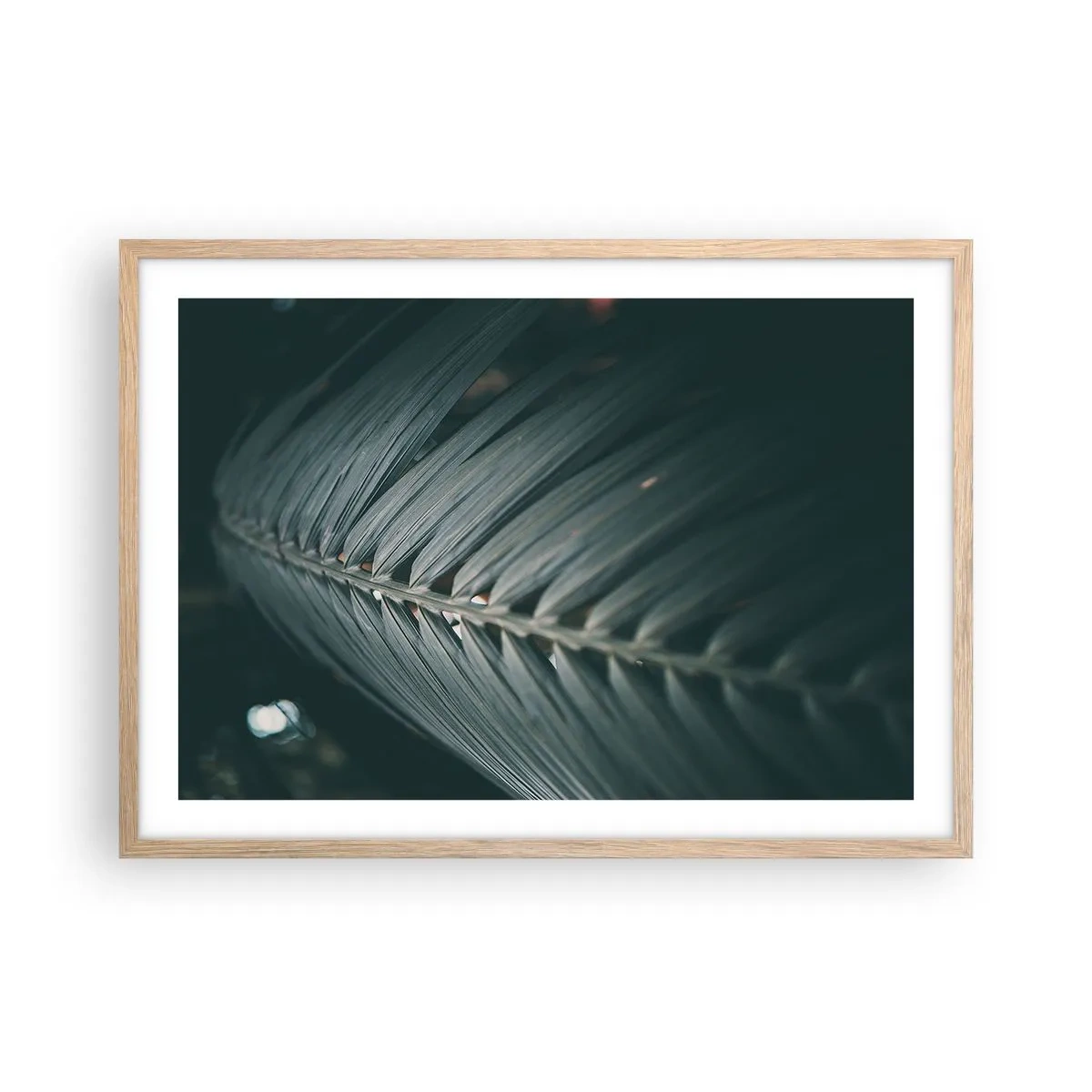 Poszter világos tölgy keretben - A természet pontossága - 70x50 cm