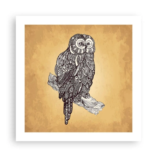 Poszter - A bölcsesség bonyolult díszei - 50x50 cm