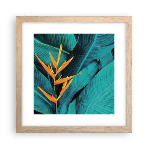 Poszter világos tölgy keretben - Éden virága - 30x30 cm