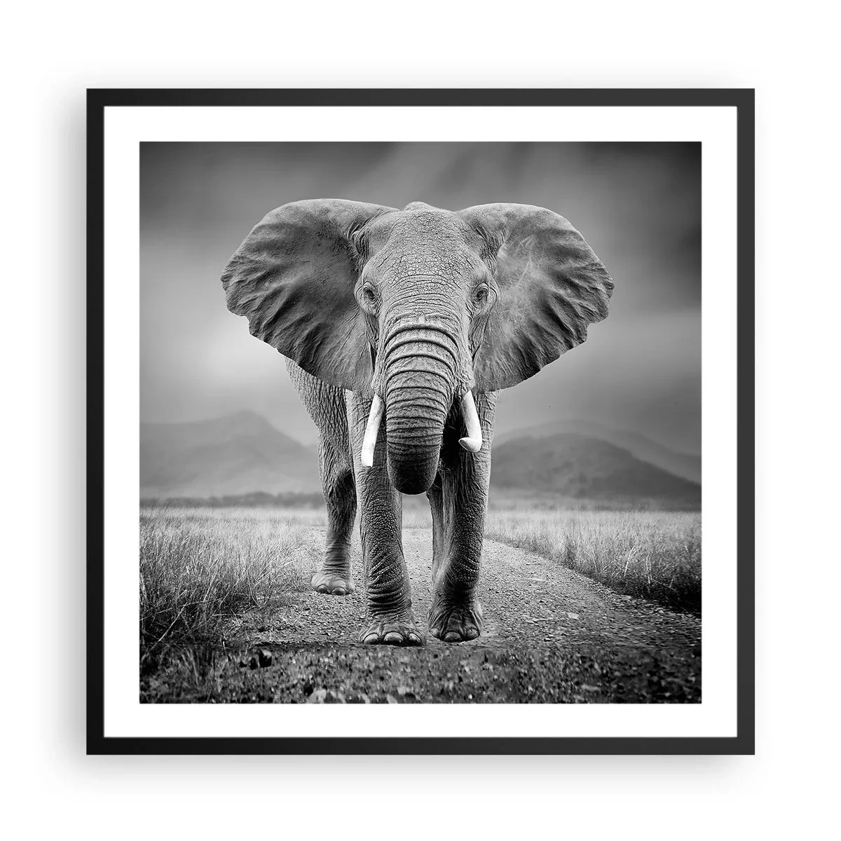 Poszter fehér keretben - A házigazda üdvözli - 60x60 cm