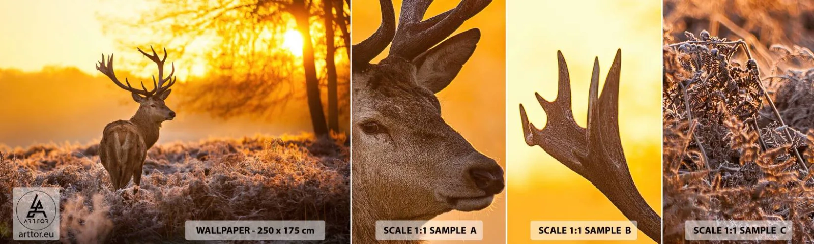 Fotótapéta Minta Öntapadós Deluxe Sticker - Az őszi erdő királya - Tájkép, Szarvas, Természet - 100x30 cm