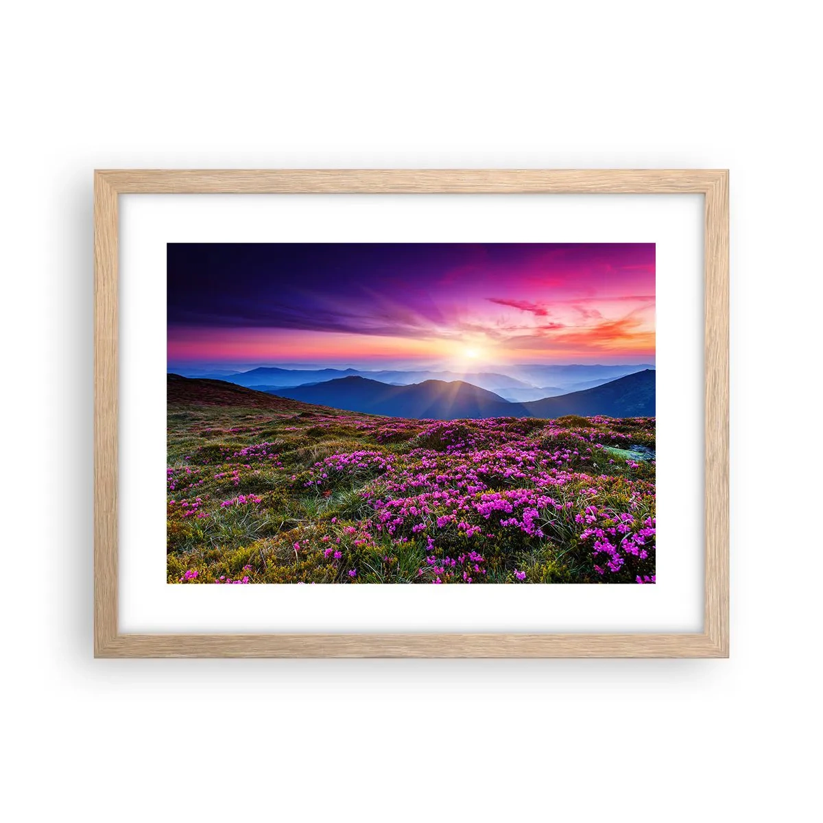 Poszter világos tölgy keretben - A gyógynövények friss fürtjei illatoztak a mezőkről - 40x30 cm