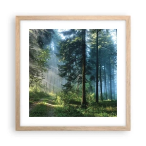 Poszter világos tölgy keretben - Sugárzó reggel - 40x40 cm