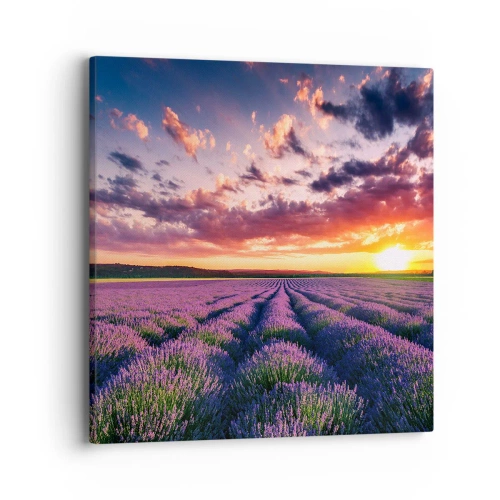 Vászonkép - Levendula világ - 40x40 cm