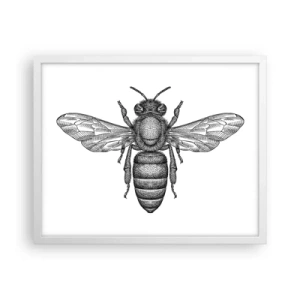 Poszter fekete keretben - Rovar portré - 50x40 cm