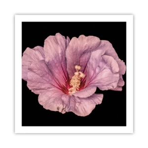 Poszter - Egyenesen a szív felé - 60x60 cm