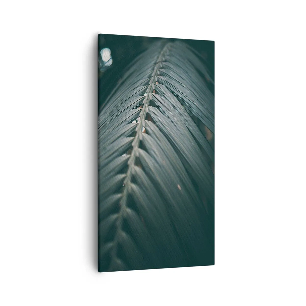 Vászonkép - A természet pontossága - 55x100 cm